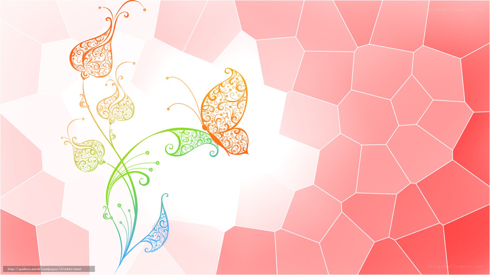 colorful butterfly and floral design
