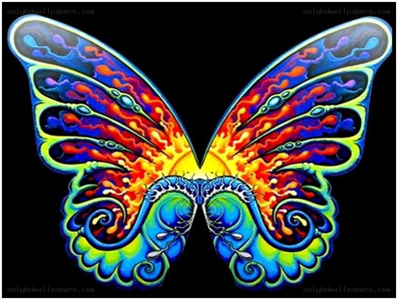 colorful butterfly art