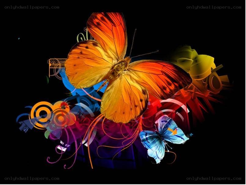 colorful butterfly art