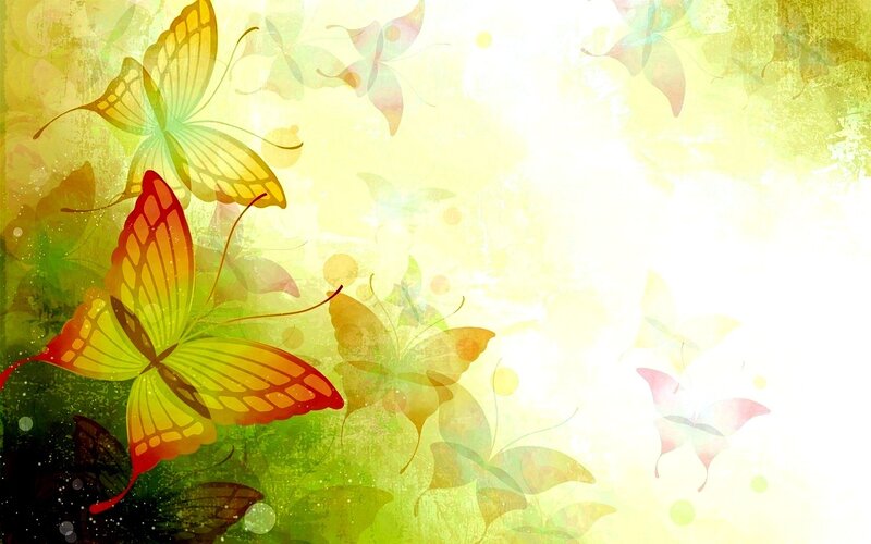 colorful butterfly art