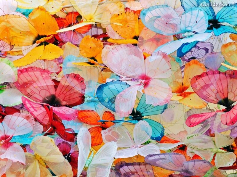 Colorful butterfly art installation