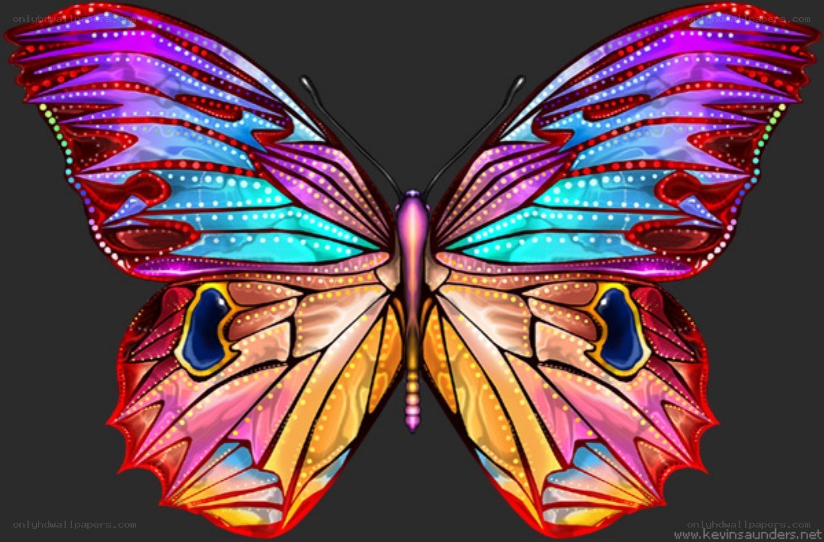 colorful butterfly artwork