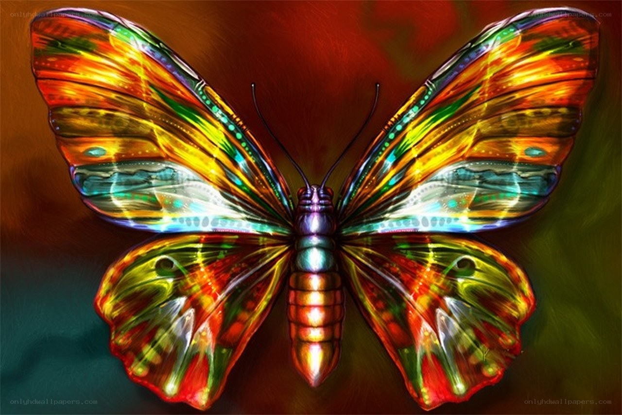 Colorful butterfly artwork