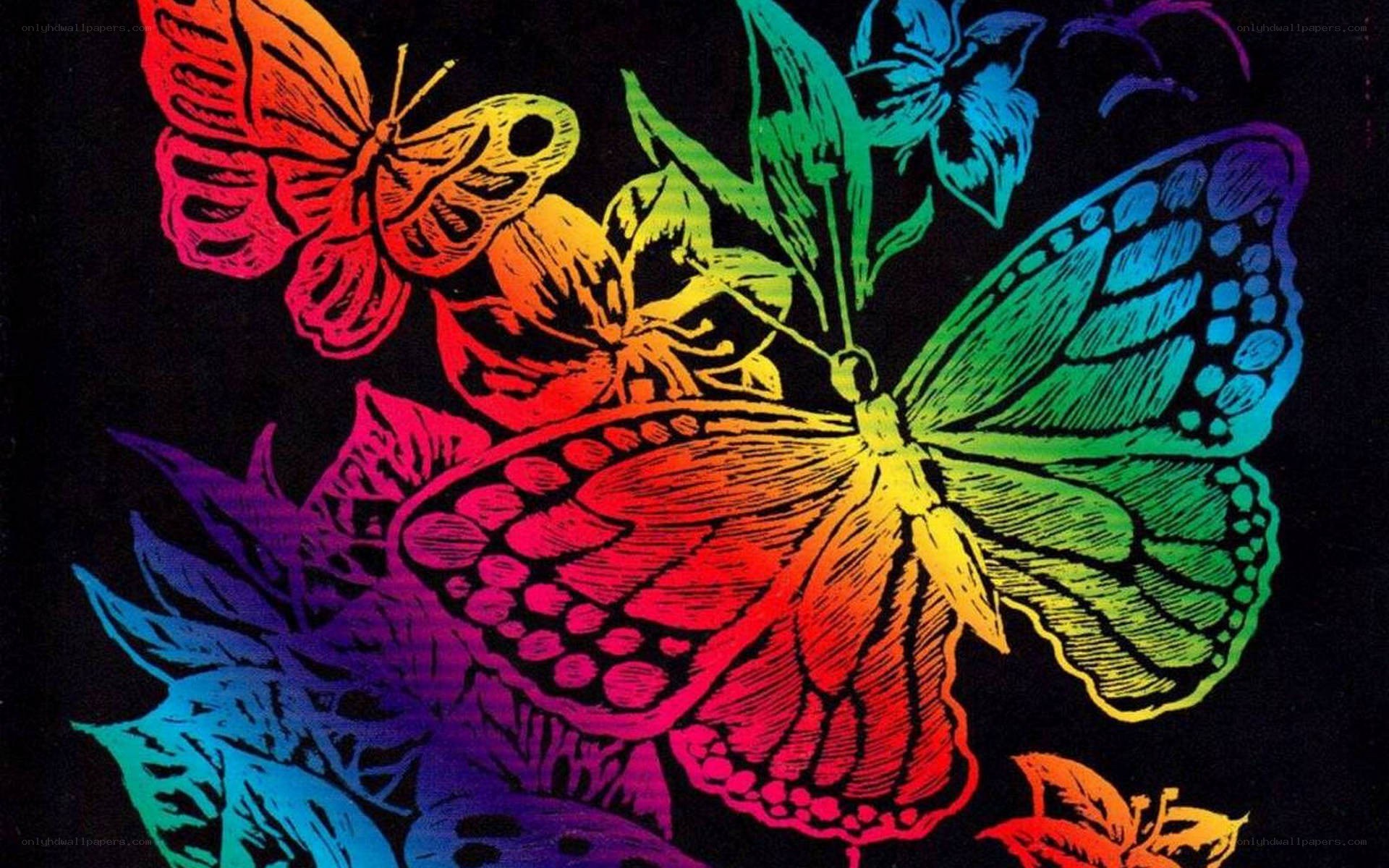 colorful butterfly artwork