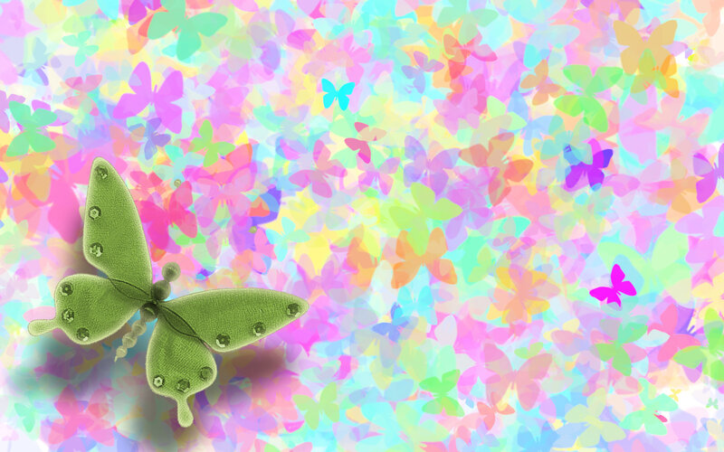 colorful butterfly background