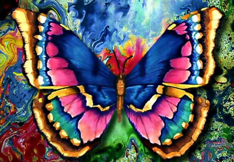 Colorful Butterfly — Blue, Vibrant
