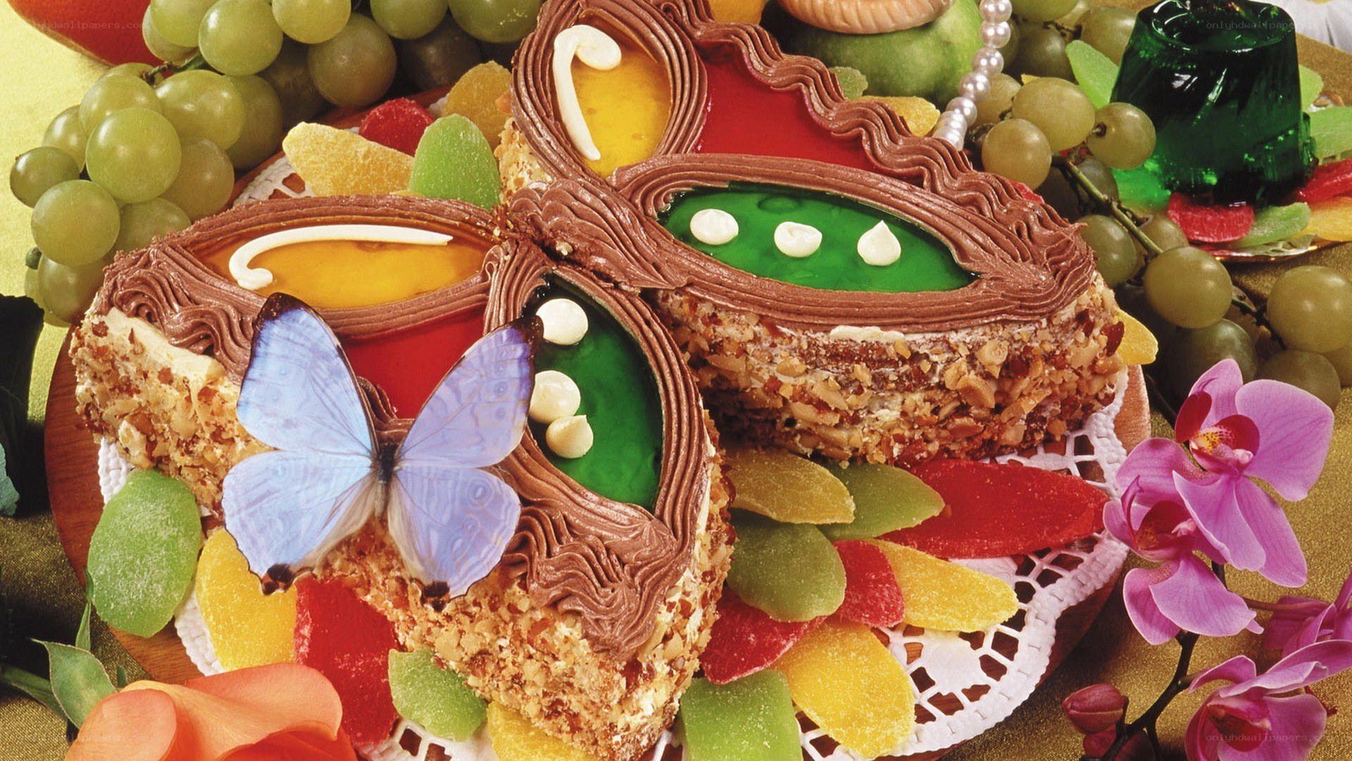 colorful butterfly cake display