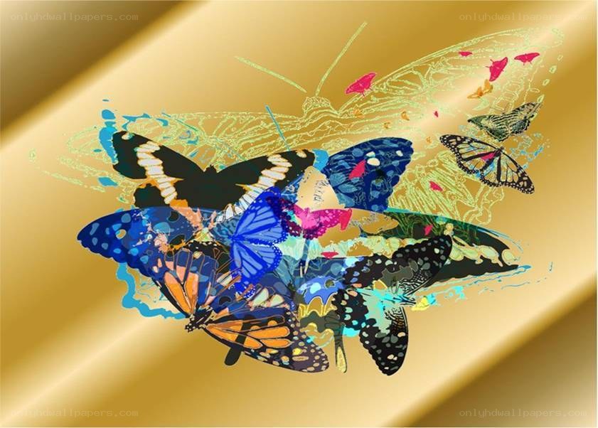 colorful butterfly collage