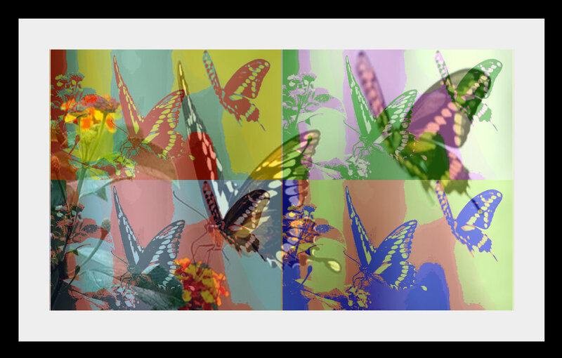 colorful butterfly collage