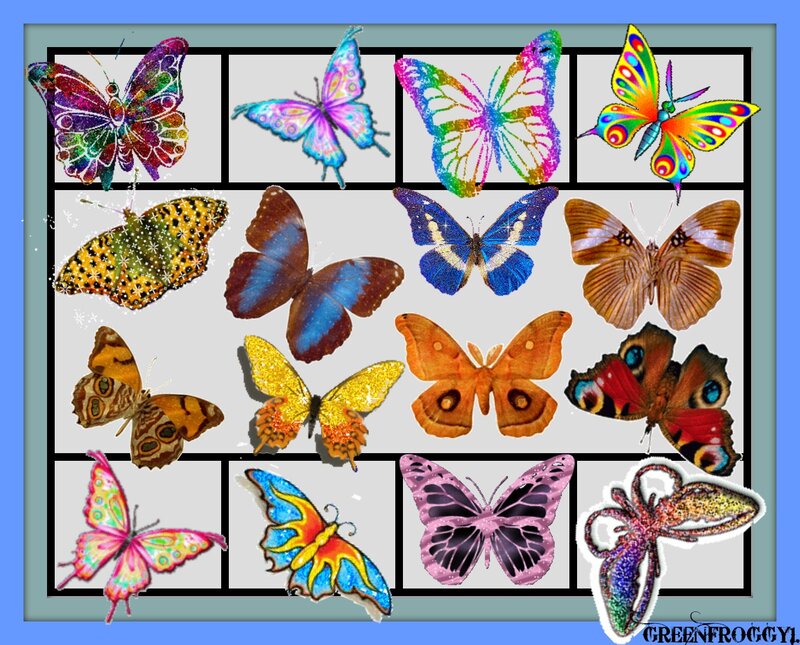 Colorful Butterfly Collection — Blue