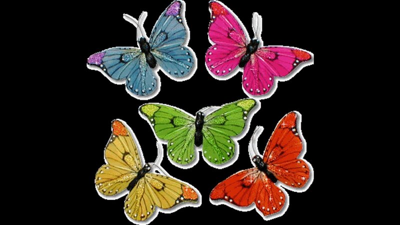 Colorful Butterfly Cutouts