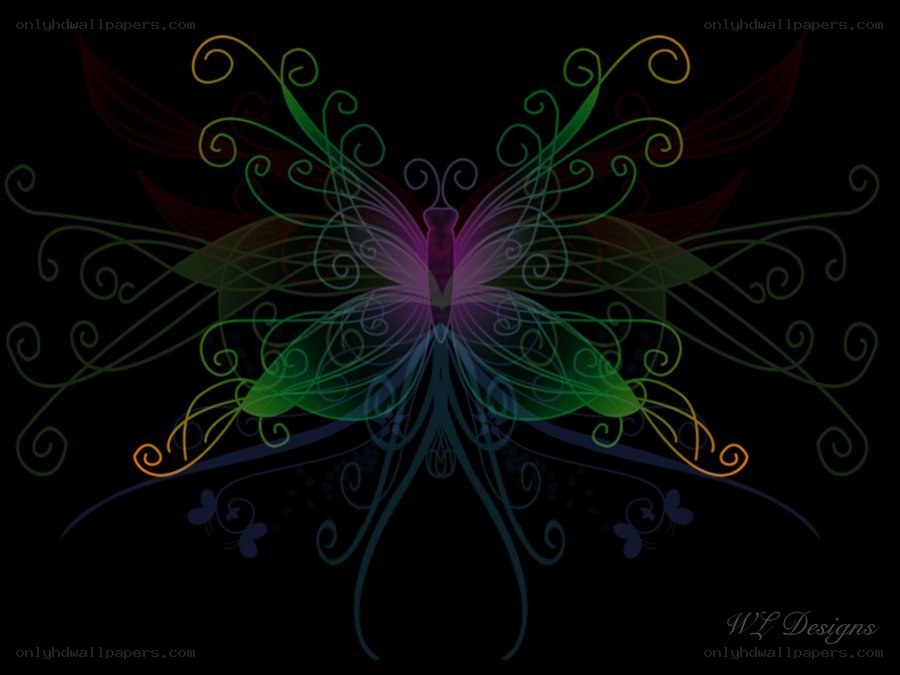 Colorful butterfly design