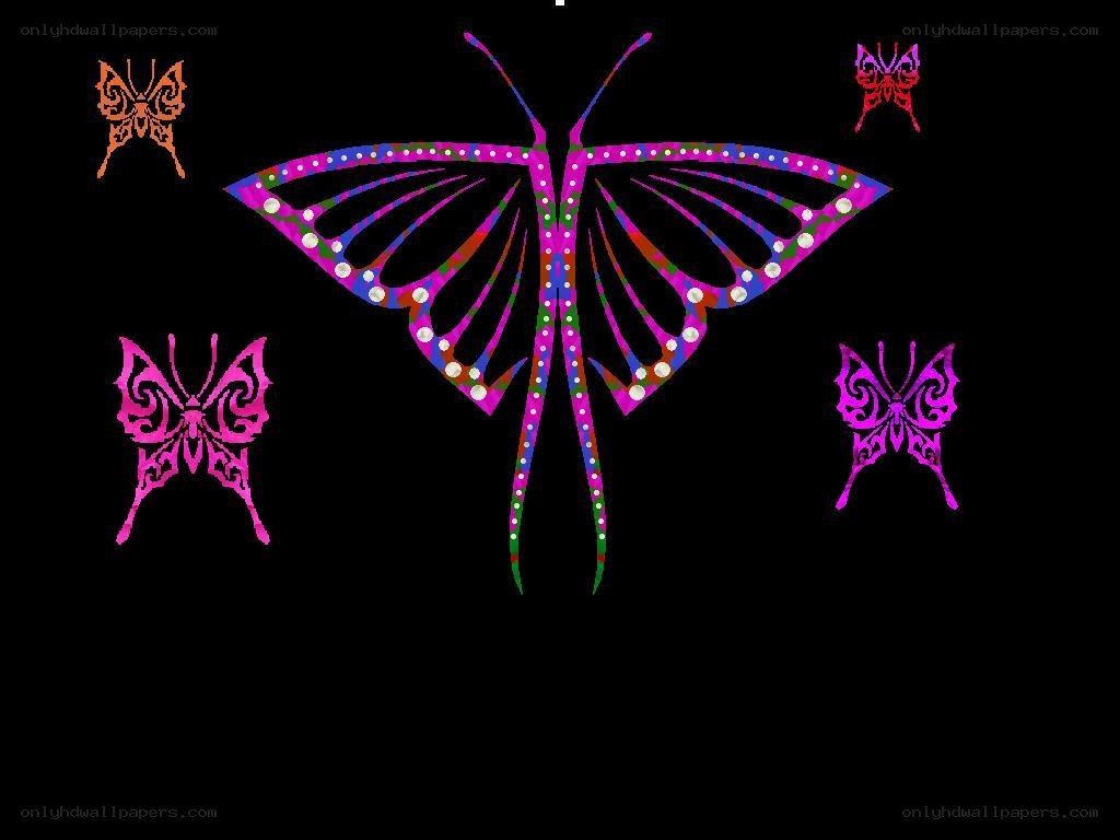 colorful butterfly design