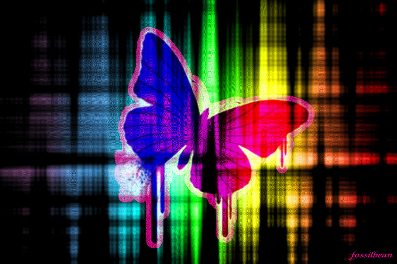 colorful butterfly digital art