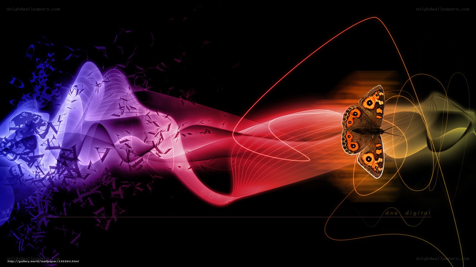 Colorful butterfly digital art