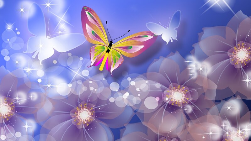 Colorful Butterfly Flying