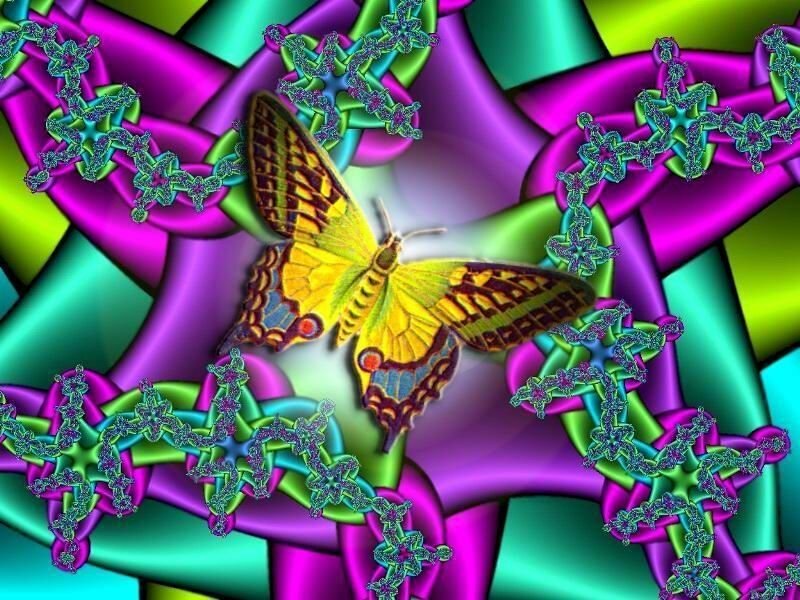 colorful butterfly fractal art
