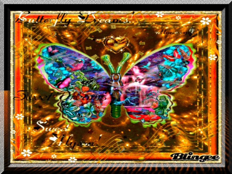 Colorful Butterfly — Gold