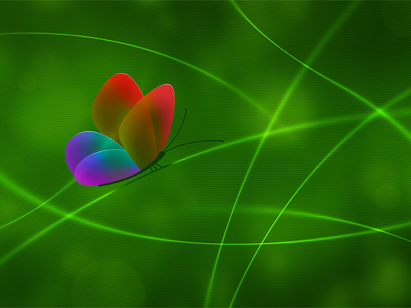 Colorful Butterfly — Green
