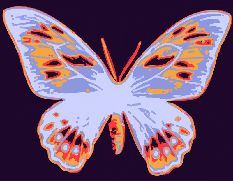 colorful butterfly illustration