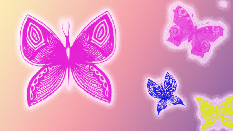 colorful butterfly illustration