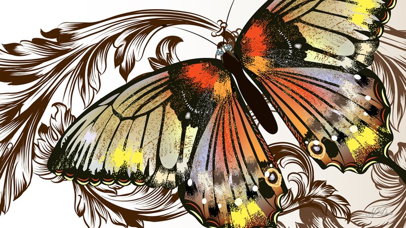 Colorful Butterfly Illustration — Brown