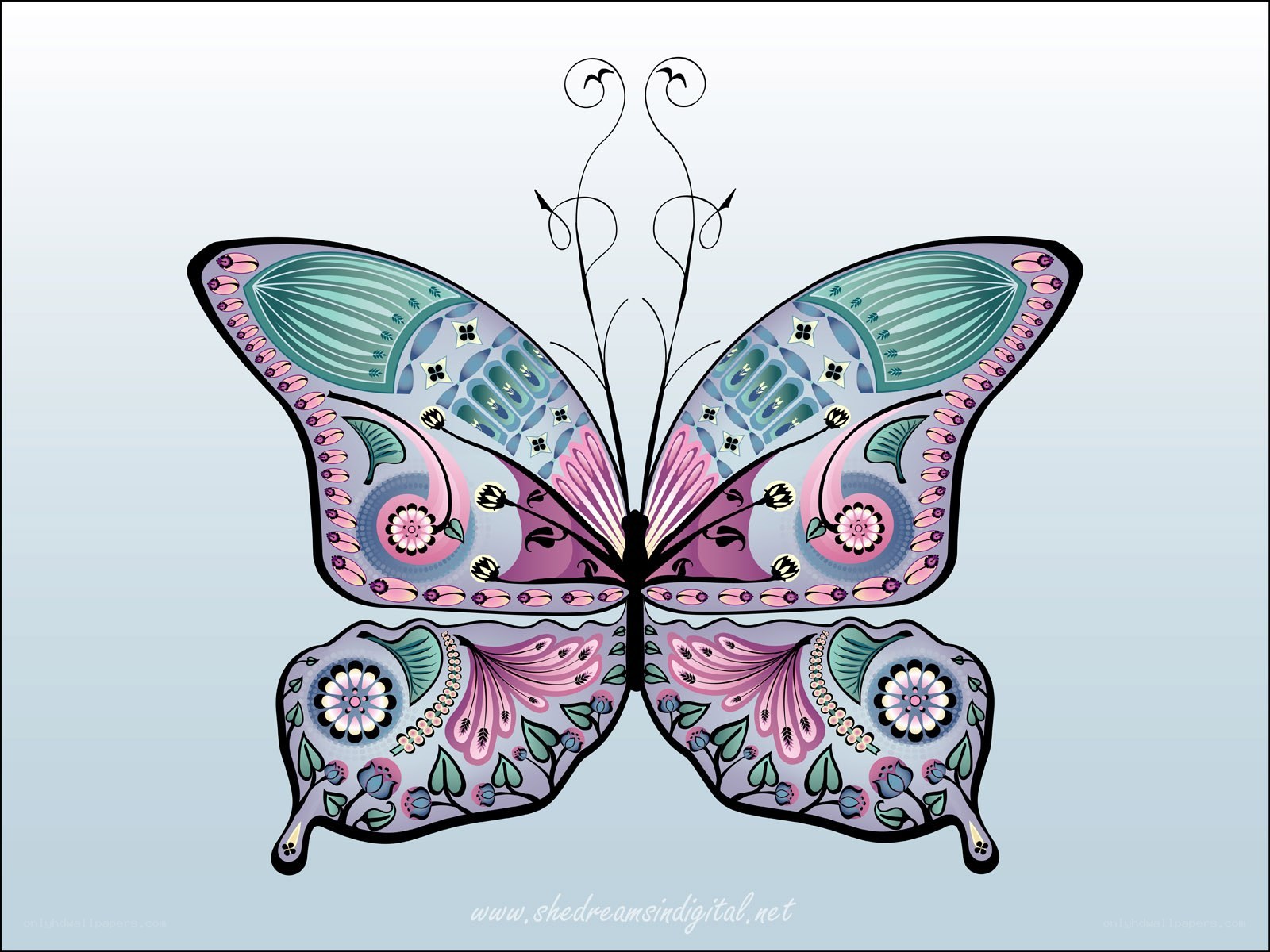 colorful butterfly illustration