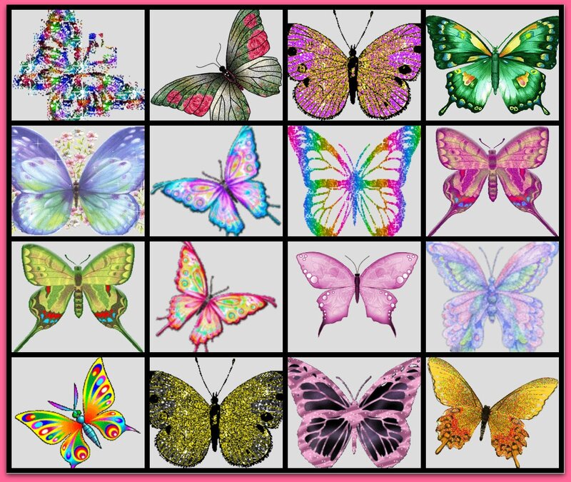 Colorful Butterfly Illustrations — Pink