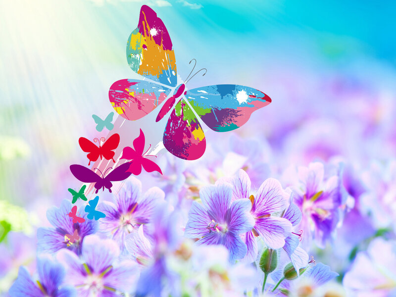 Colorful Butterfly in Field