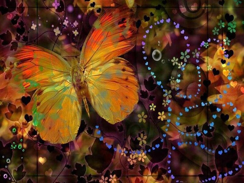 colorful butterfly in floral garden