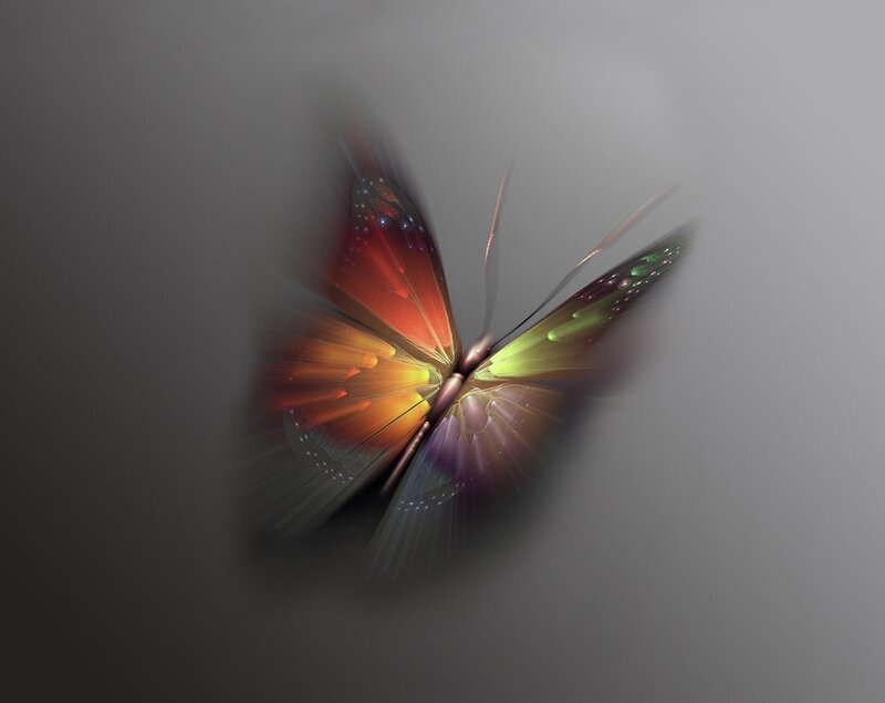 Colorful butterfly in motion