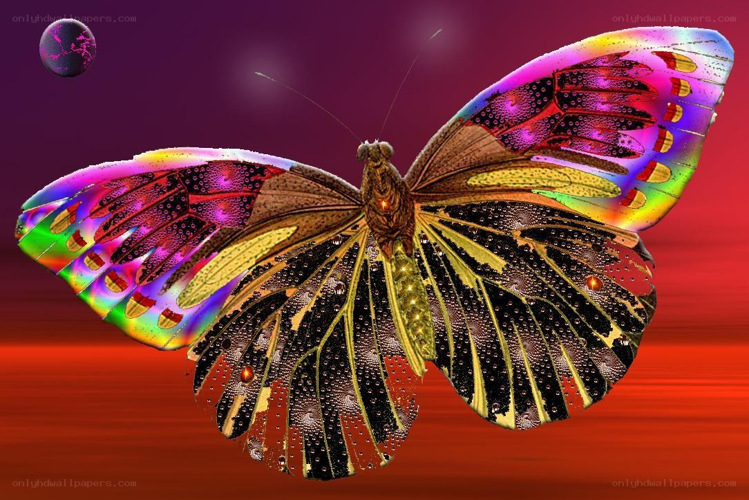 Colorful butterfly in space