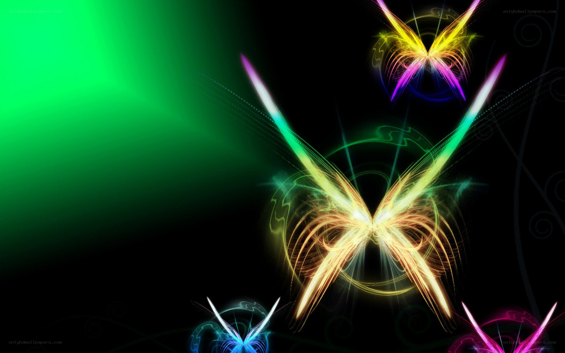 colorful butterfly light art