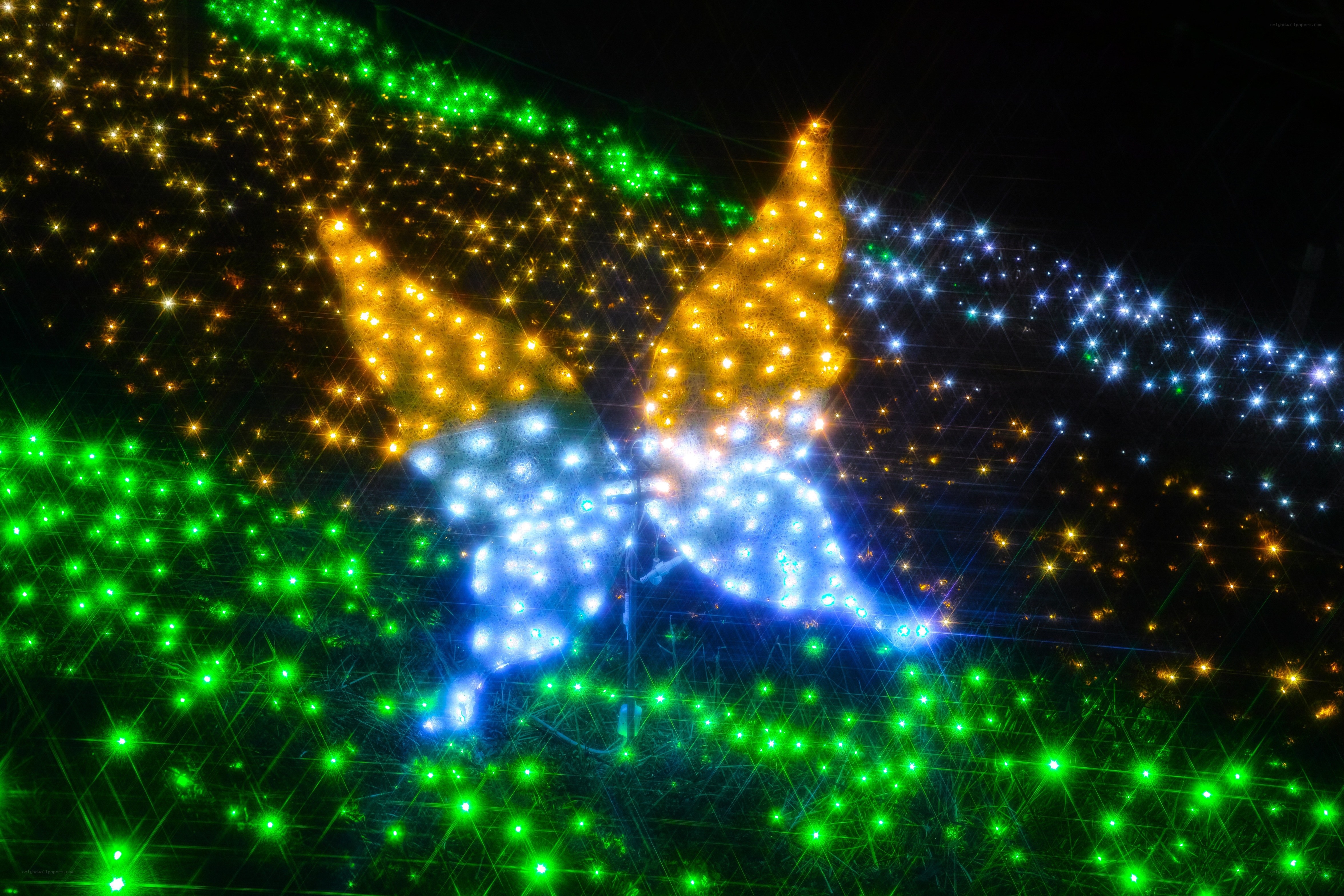colorful butterfly light display
