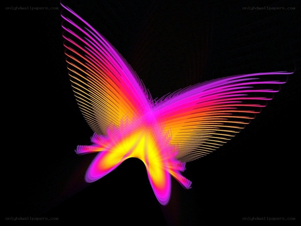 Colorful butterfly light trail