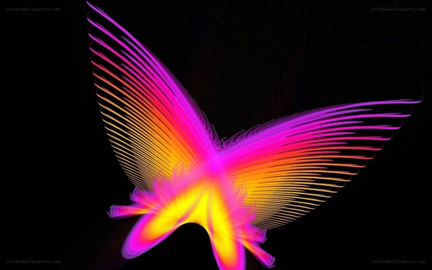 Colorful butterfly light trail