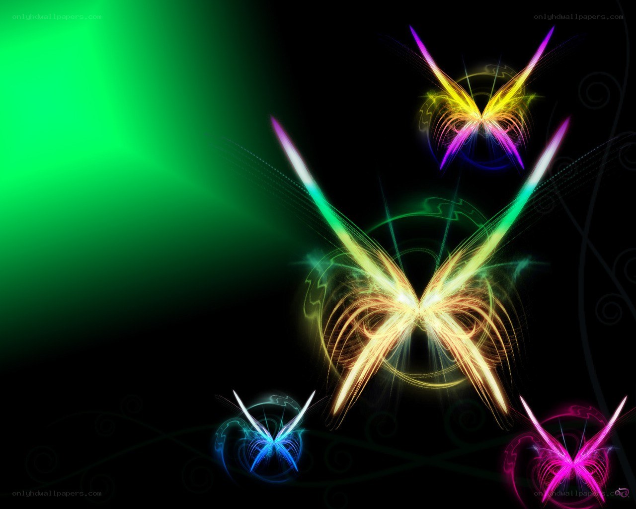 Colorful butterfly light trails