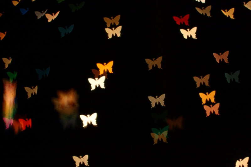 Colorful Butterfly Lights
