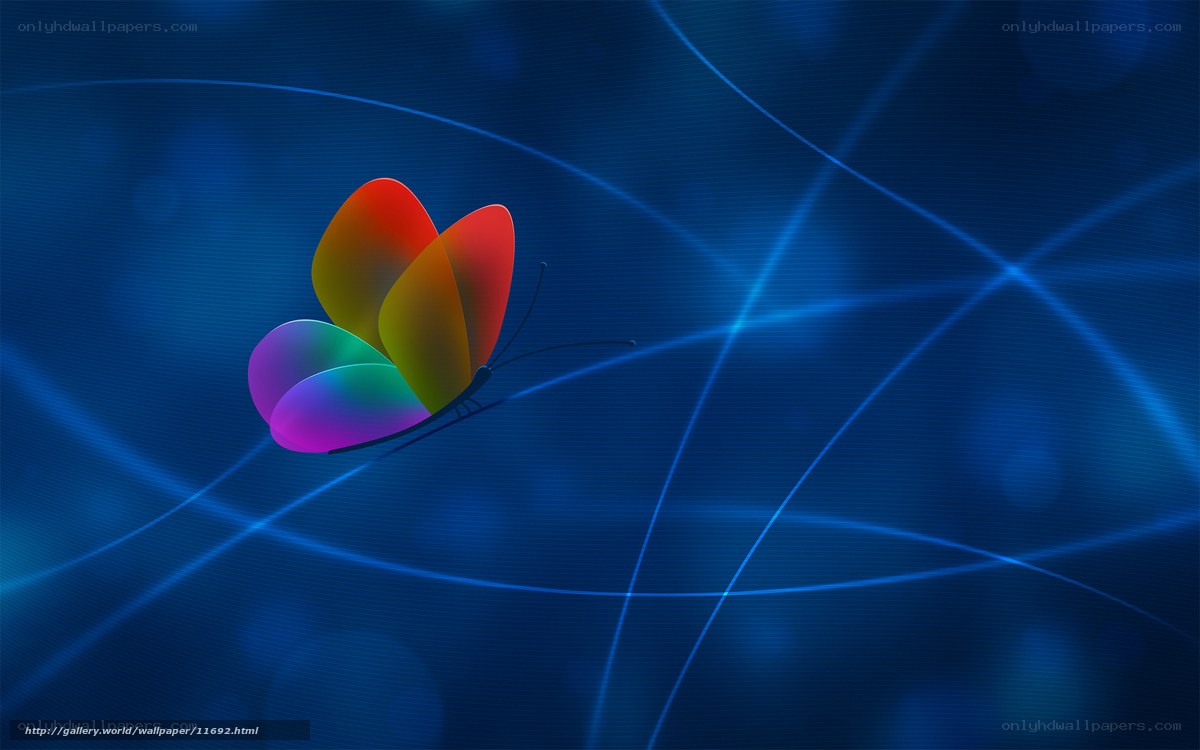 Colorful butterfly on blue background