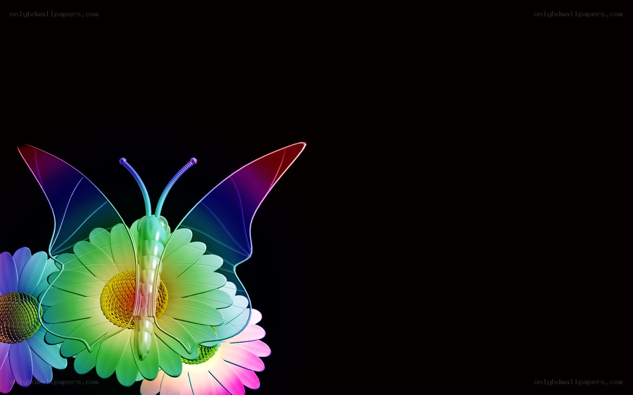 colorful butterfly on flowers