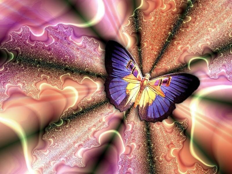 Colorful butterfly on fractal background