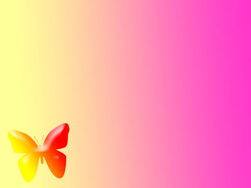 colorful butterfly on gradient
