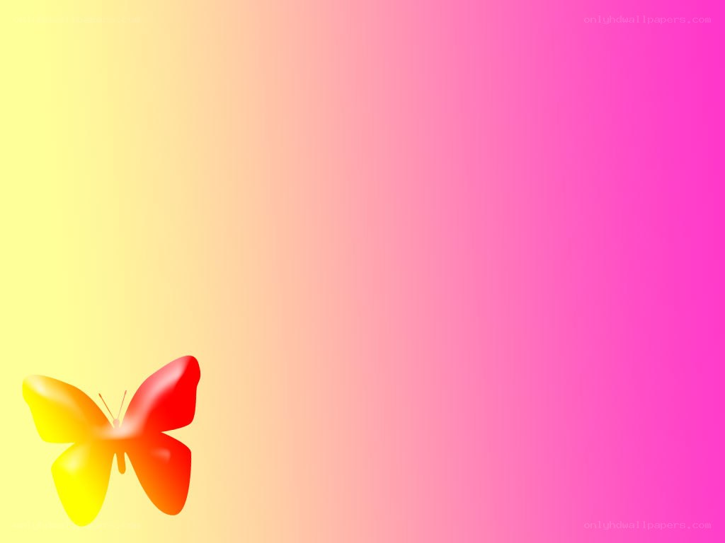 colorful butterfly on gradient