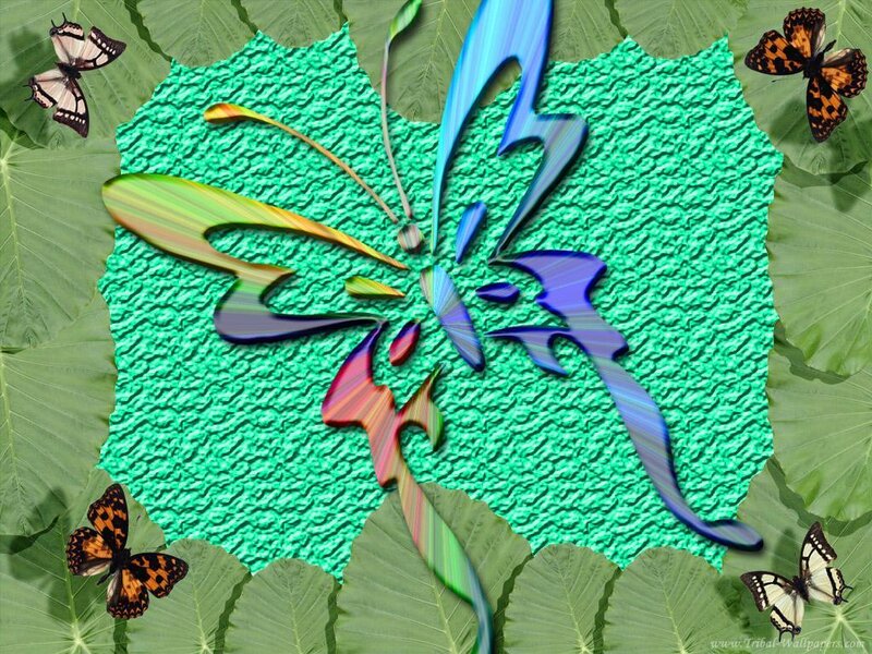 Colorful butterfly on green leaf