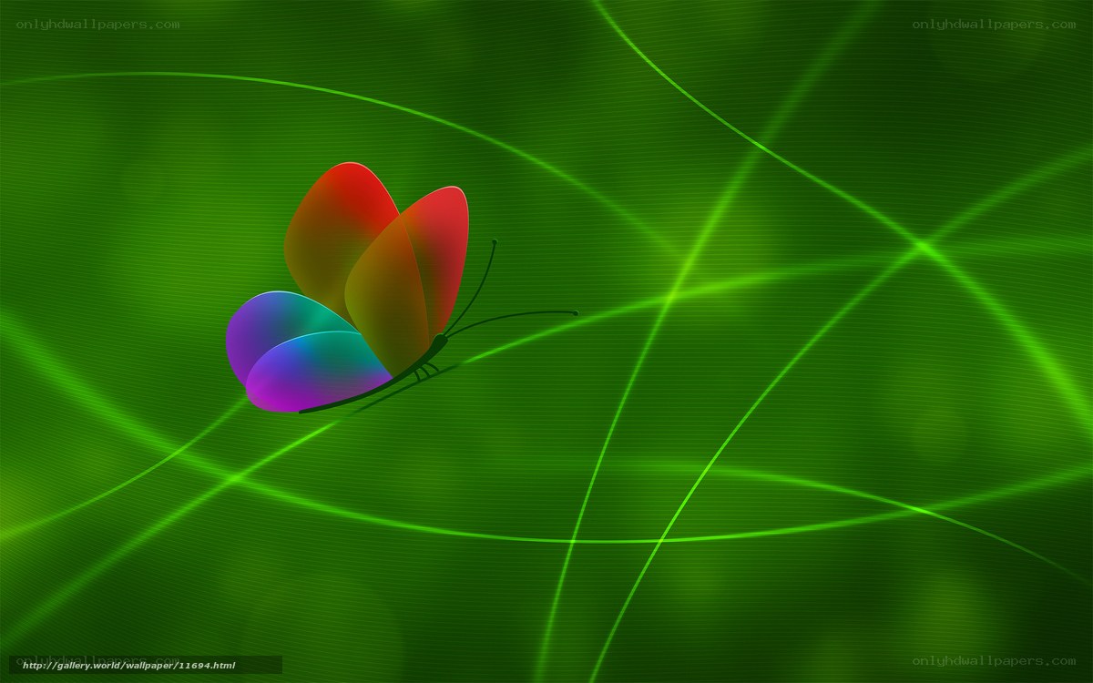 colorful butterfly on green