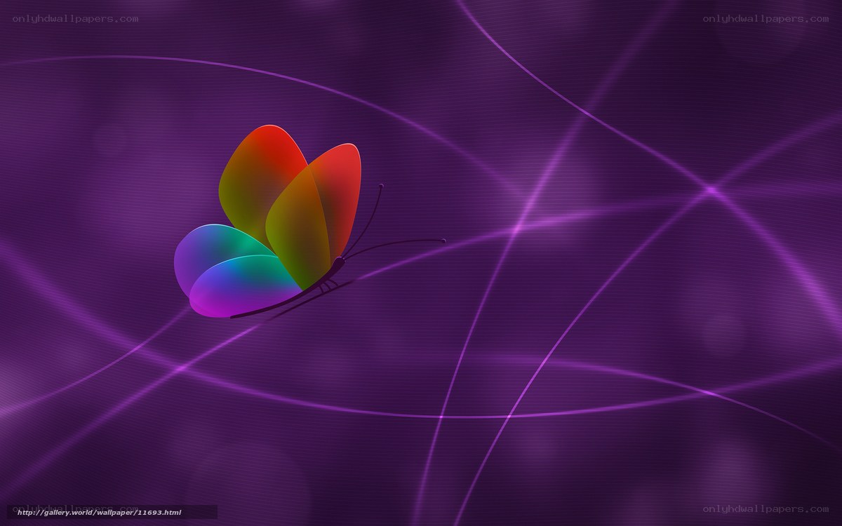 Colorful butterfly on purple background
