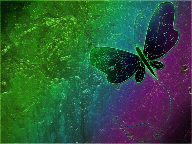 colorful butterfly on textured background