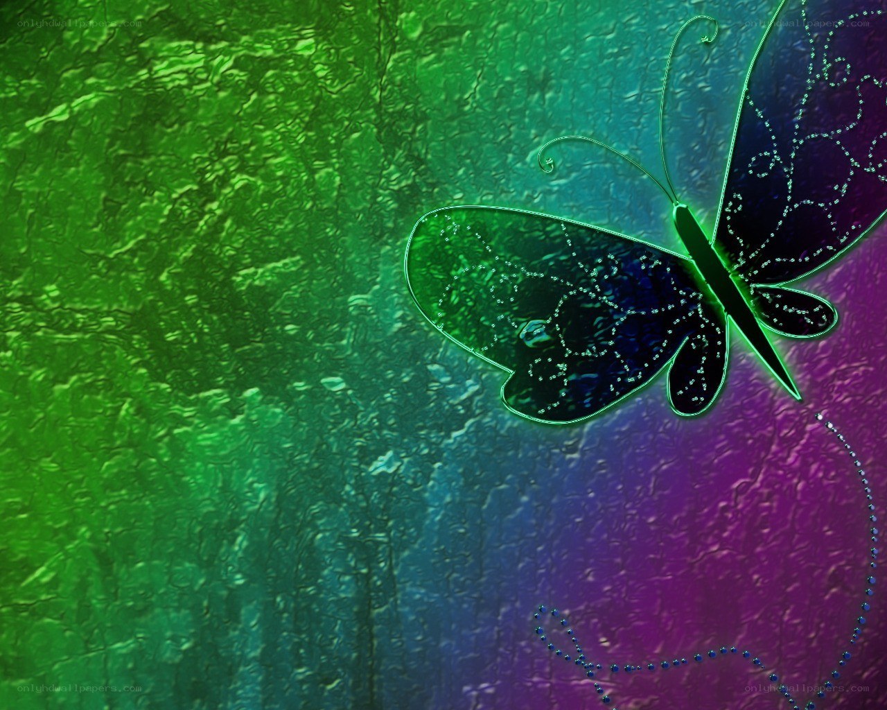 colorful butterfly on textured background