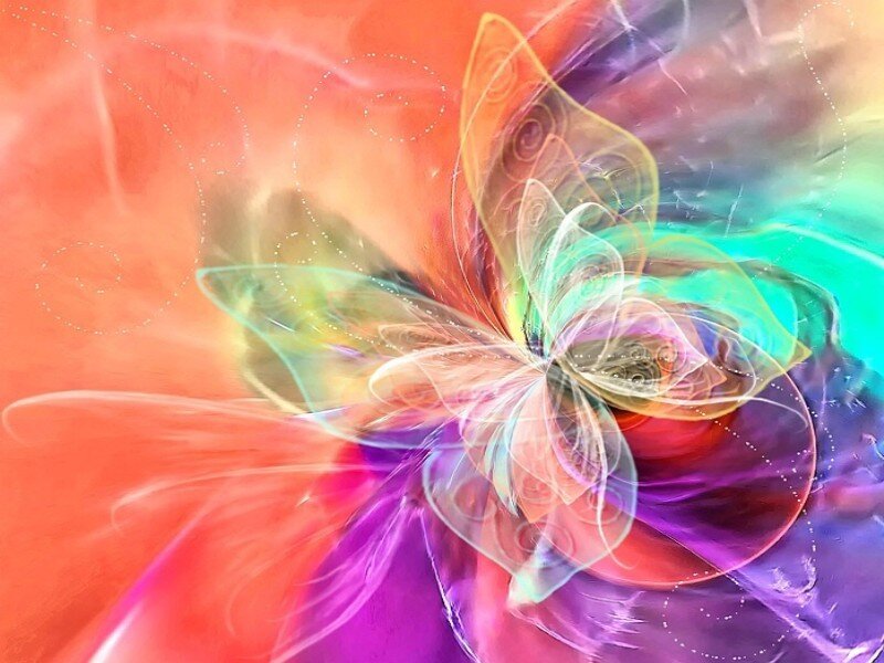 Colorful Butterfly — Orange, Vibrant