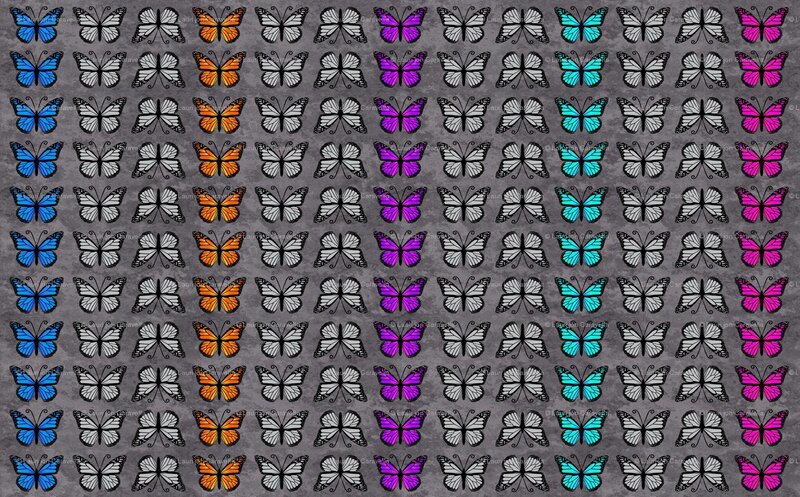 Colorful Butterfly Pattern — Gray